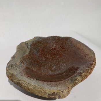 Fossil Bowl 16